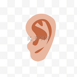 男性人体线稿图片_五官耳朵