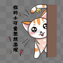 小猫小可爱出现表情