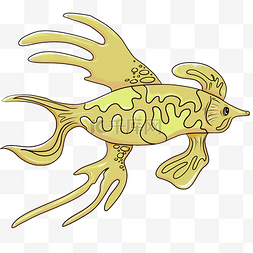 金龙鱼图片_海洋动物金龙鱼插画