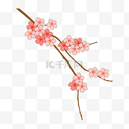 盛开的樱花树枝免抠图