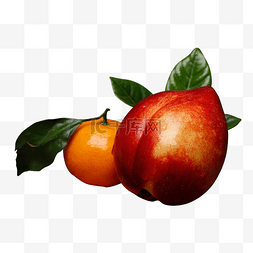 澳洲食品图片_一个桔子和一个油桃