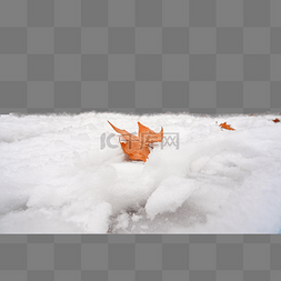 大雪杂点图片_大雪雪地落叶