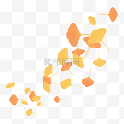 黄色银杏叶飘落叶子