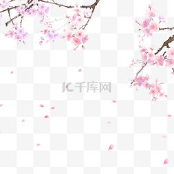 中国风飘落桃花插画风