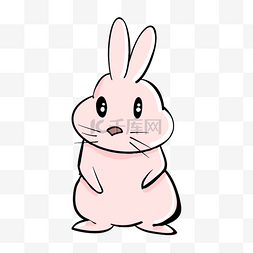 粉色小兔子