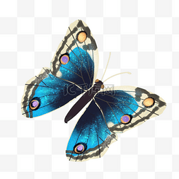 唯美蓝黑色蝴蝶