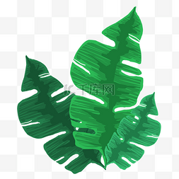 绿色叶子装饰插画