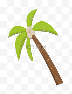椰树牌海南椰子树绿色植物