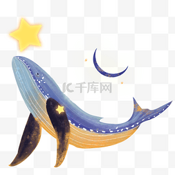 星星月亮装饰的海豚