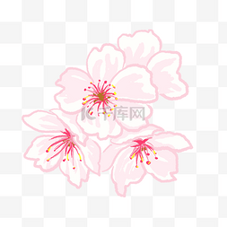 唯美风格卡通手绘图片_唯美清新的粉色樱花花朵免扣