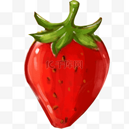 草莓种植图片_红色种植草莓