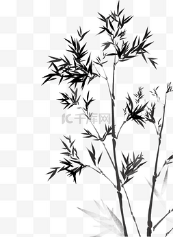 水墨植物竹子