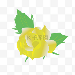 手绘卡通小花花图片_矢量黄色玫瑰花手绘