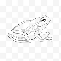 frog clipart black and white 可爱青蛙手