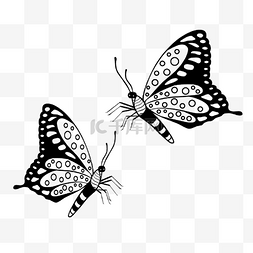 黑白简约线性蝴蝶