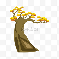 油松图片_黄色大树油松