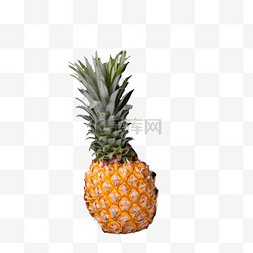 菠萝创意水果菠萝图片_水果菠萝实物下载