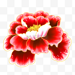 红色牡丹鲜花