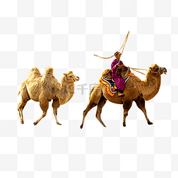 骑骆驼图片_骆驼人物