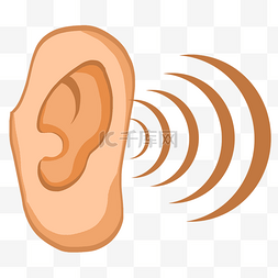 耳朵竖的竖的像图片_耳朵听力健康体检