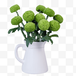 乒乓菊绿色白花瓶