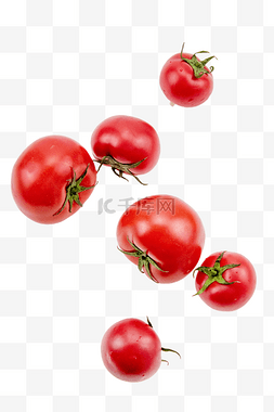 盆栽小番茄图片_蔬菜番茄西红柿