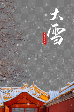 唯美大雪图片_大雪节气故宫雪景