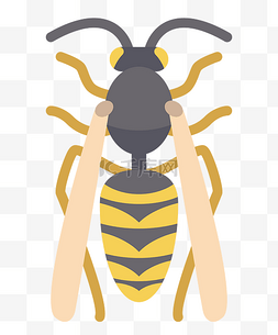 一只采蜜蜜蜂插图