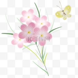 粉色花和菜粉蝶