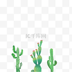 植物ins风图片_手绘ins风绿色热带植物仙人掌组合