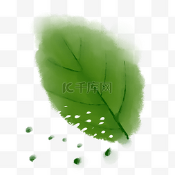 绿色植物免抠素材图片_绿色植物叶子手绘水彩风透明底免