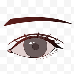 眼睛人体器官图片_人体器官眼睛插画