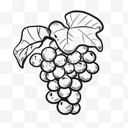 线描水果插画图片_手绘线描葡萄食物