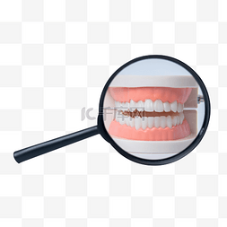 医疗放大镜下的牙齿模型牙科牙医
