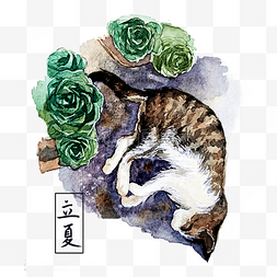 立夏水彩猫装饰图