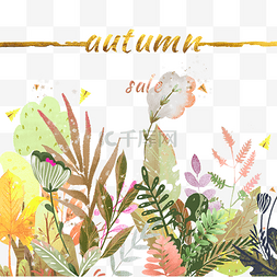 秋天彩色植物折扣线条插画