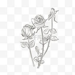 植物花卉线描图片_线描玫瑰花