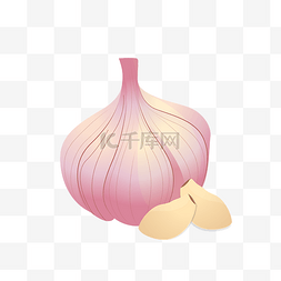 大蒜头咸菜图片_大蒜 一头 紫色 蒜头 蒜瓣