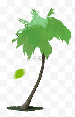 绿色椰汁树