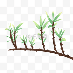 发芽的绿叶图片_春夏发芽的树枝树叶插画