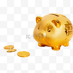 金币金猪储蓄
