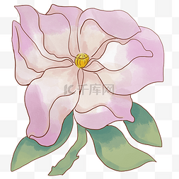 淡粉色的花朵手绘插画