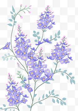 紫色碎花花朵