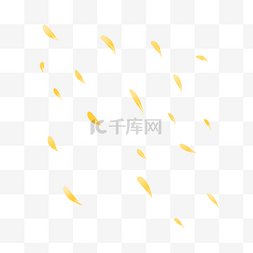 黄色菊花花瓣