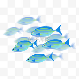 蓝色海洋鱼群