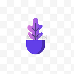 紫色的盆栽