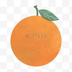 一颗新鲜的橙子