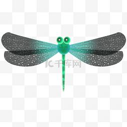 星空图片_星空花纹翅膀蜻蜓