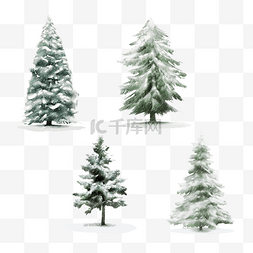 雪松树图片_冬天松树圣诞节圣诞树木雪松