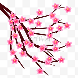 花朵桃花枝